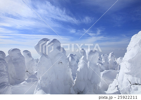 蔵王温泉スキー場　樹氷 25922211