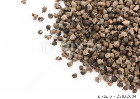 チェストベリー、チェストツリー、セイヨウニンジンボク：Chaste tree 25922604