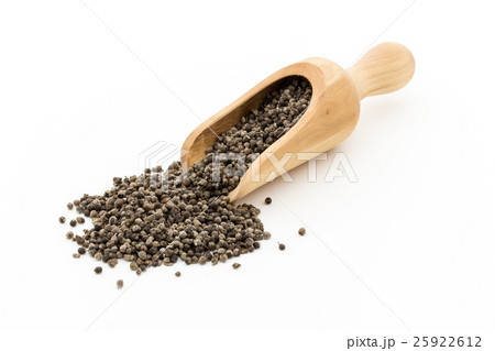 チェストベリー、チェストツリー、セイヨウニンジンボク：Chaste tree 25922612