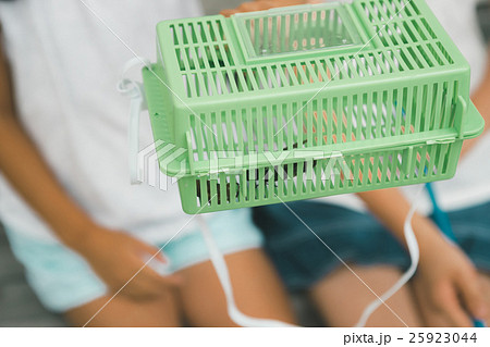 Fun summer holidays Fun summer holidays 25923044