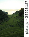 浜野浦の棚田 25923187