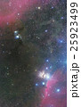 オリオン東部 East area of Orion 25923499