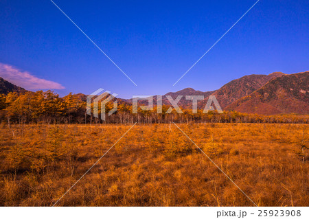 【栃木県・日光国立公園】戦場ヶ原の紅葉 25923908
