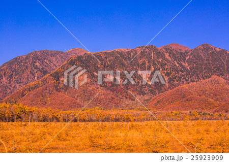 【栃木県・日光国立公園】戦場ヶ原の紅葉 25923909