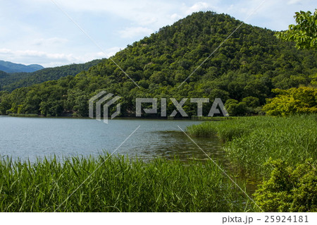 春の広沢池 春の広沢池 25924181