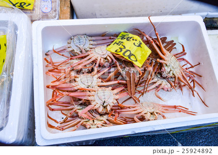 セイコガニ 25924892