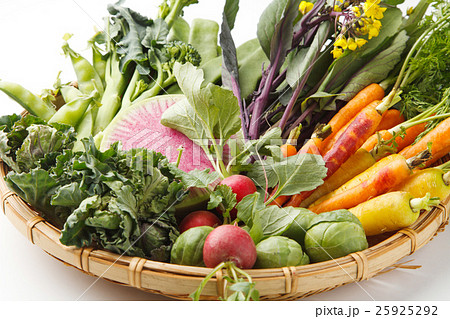 野菜の集合 25925292