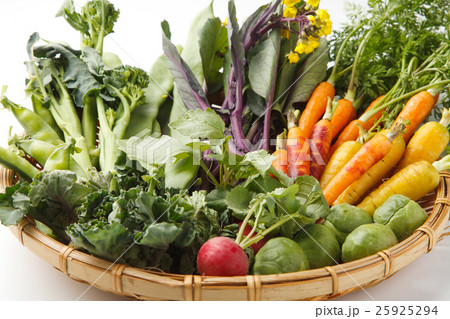 野菜の集合 野菜の集合 25925294