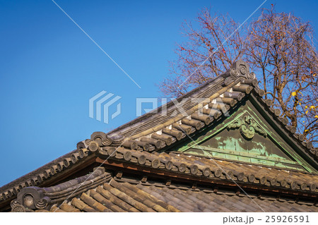 Beautiful Imperial Palace in Tokyo, japan 25926591