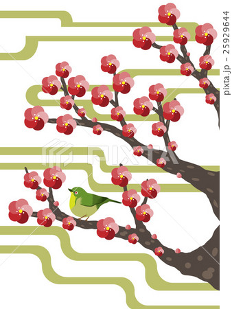 梅の木にとまるメジロのイラスト素材