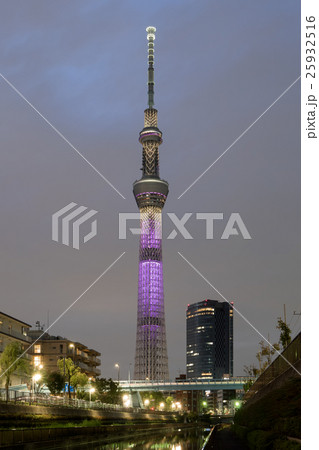 日没後の薄明に輝く東京スカイツリー・雅の夜景_b 日没後の薄明に輝く東京スカイツリー・雅の夜景_b 25932516