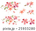 桜 25933280