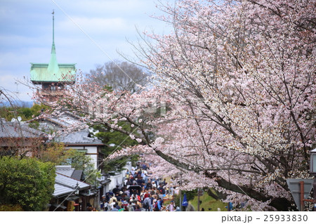 京都　桜咲く春のねねの道 25933830