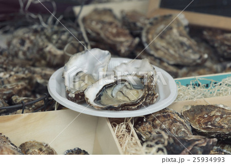 fleshly opened oysters 25934993