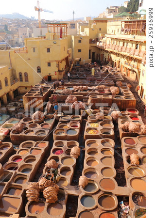 革なめし 25936999