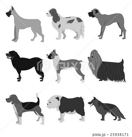 Set of dog breeds Set of dog breeds 25938171