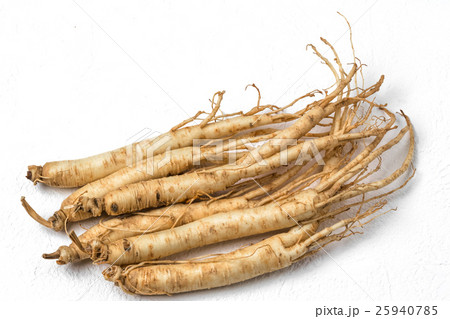 朝鮮人参と漢方 薬膳 健康食 Chinese medicine and ginseng 朝鮮人参と漢方 薬膳 健康食 Chinese medicine and ginseng 25940785