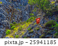 Turkish flag on tree in mountains 25941185