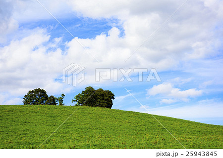 草原と樹木のバックグラウンド 25943845