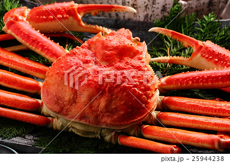 ズワイガニ 25944238