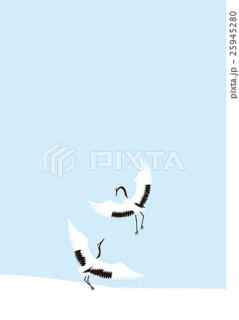 冬の鶴の舞　日本の風景 25945280