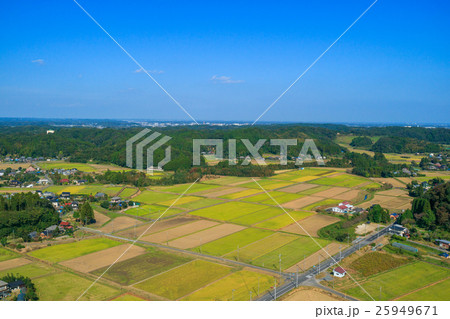 長南町中原周辺を撮影 25949671