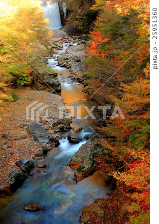 秋紅葉の女夫淵温泉 秋紅葉の女夫淵温泉 25951360