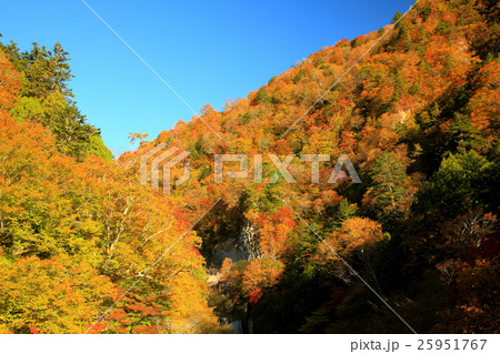 秋紅葉の女夫淵温泉 秋紅葉の女夫淵温泉 25951767