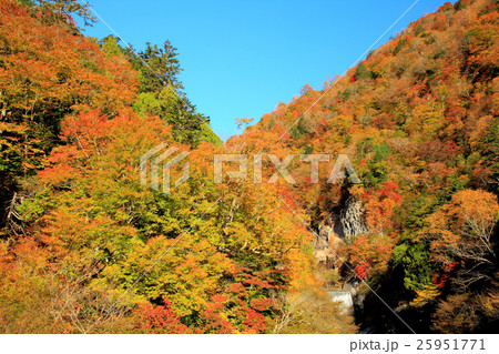 秋紅葉の女夫淵温泉 25951771