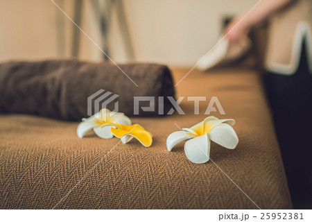 エステ エステ 25952381