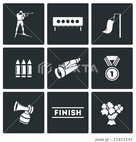 Biathlon icon set 25953542