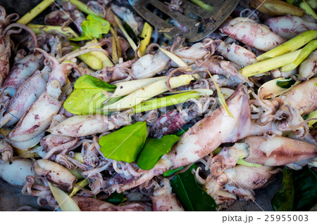 Thai fried Herbal squid 25955003