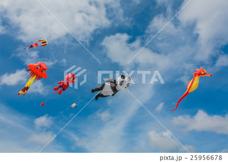 Kites Kites 25956678