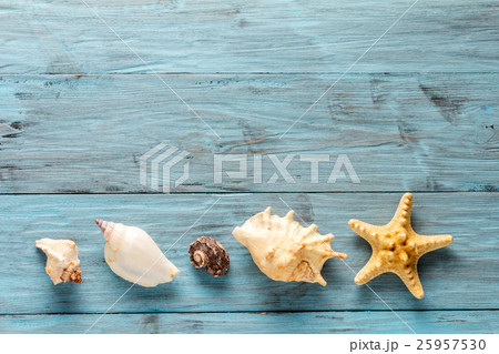 Starfish and seashell on blue boards Starfish and seashell on blue boards 25957530