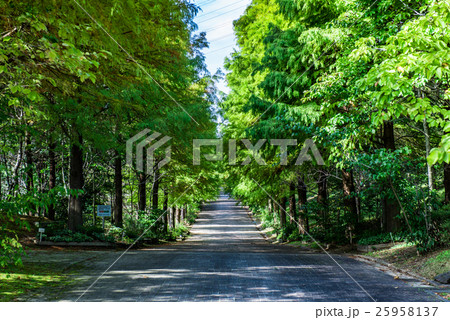 播磨中央公園 25958137