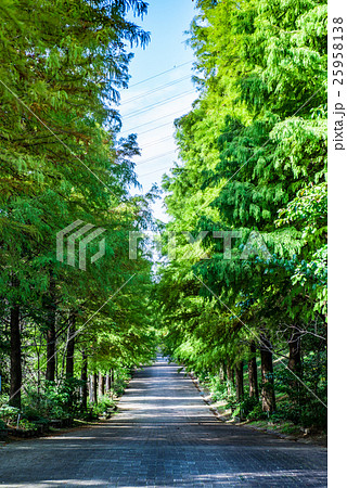 播磨中央公園 25958138