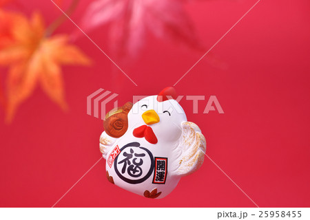 干支 酉年 干支 酉年 25958455