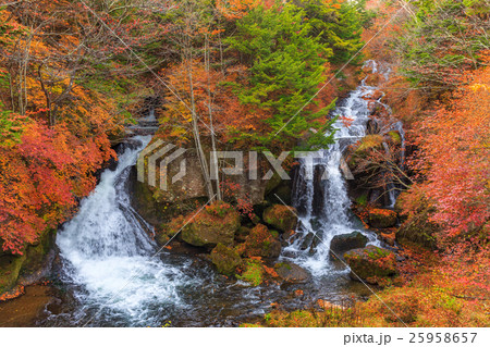 【栃木】日光　竜頭ノ滝 25958657