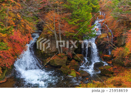 【栃木】日光　竜頭ノ滝 25958659