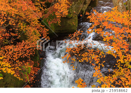 【栃木】日光　竜頭ノ滝 25958662