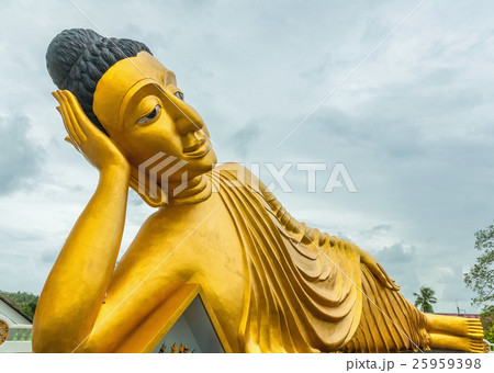 Reclining Buddha 25959398