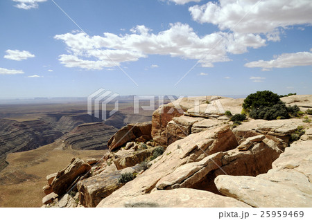 94054　ミューリーポイント 25959469