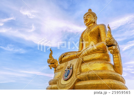 Statue of Buddha 25959565