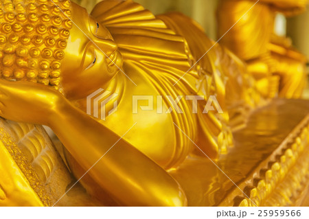 Reclining Buddha 25959566