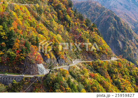 白山白川郷ホワイトロードの紅葉 白山白川郷ホワイトロードの紅葉 25959827