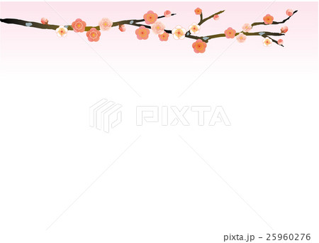 背景素材 紅梅 背景素材 紅梅 25960276