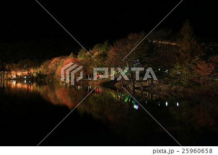 茶臼山の紅葉ライトアップ２ 25960658