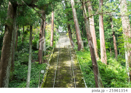 身延山久遠寺　菩提梯 25961354