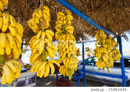 Bunch of bananas Bunch of bananas 25962040