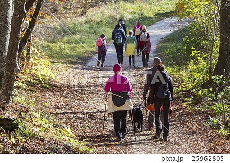 Group of people walking by hiking trail Group of people walking by hiking trail 25962805